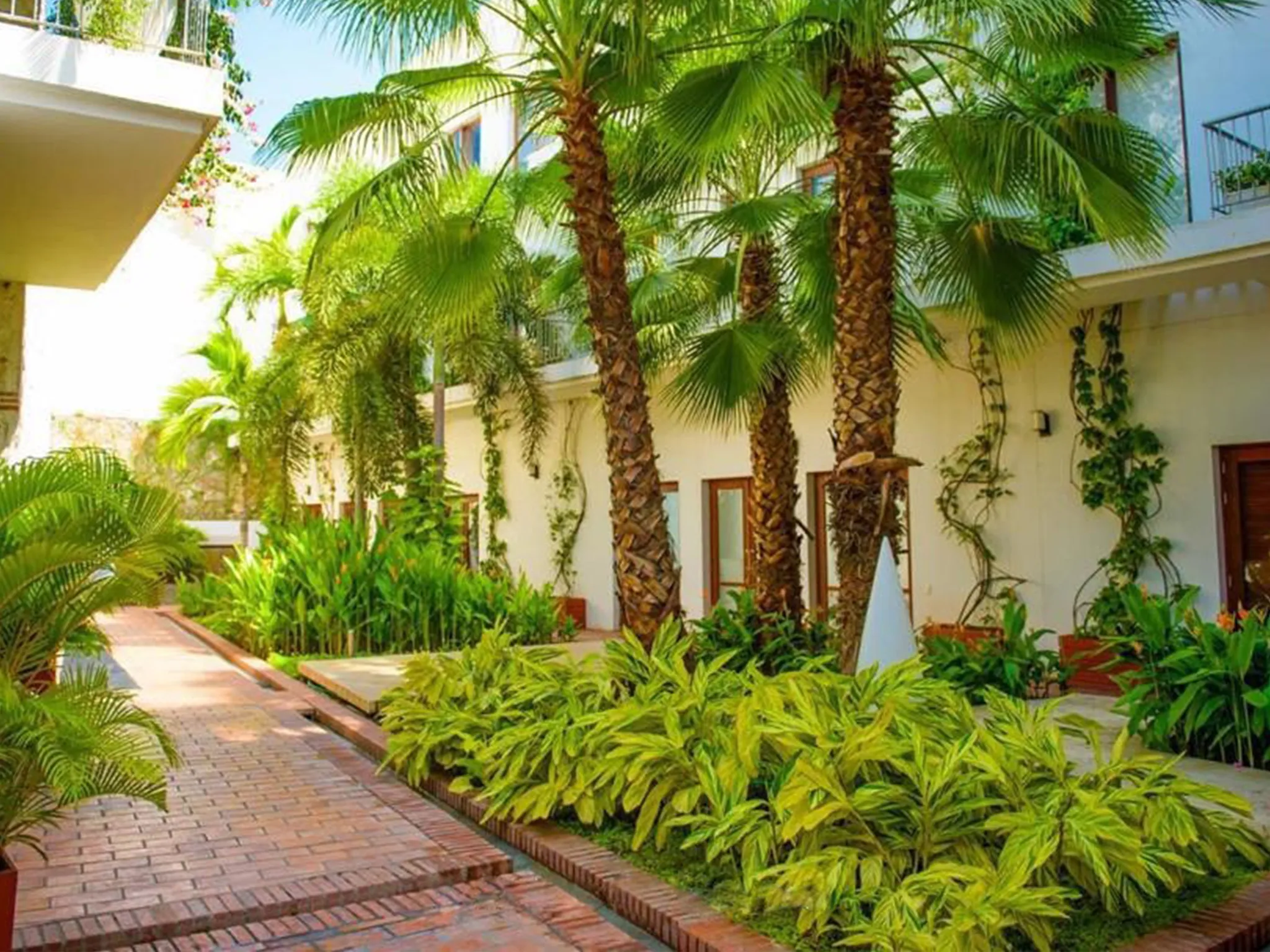 casa macondo